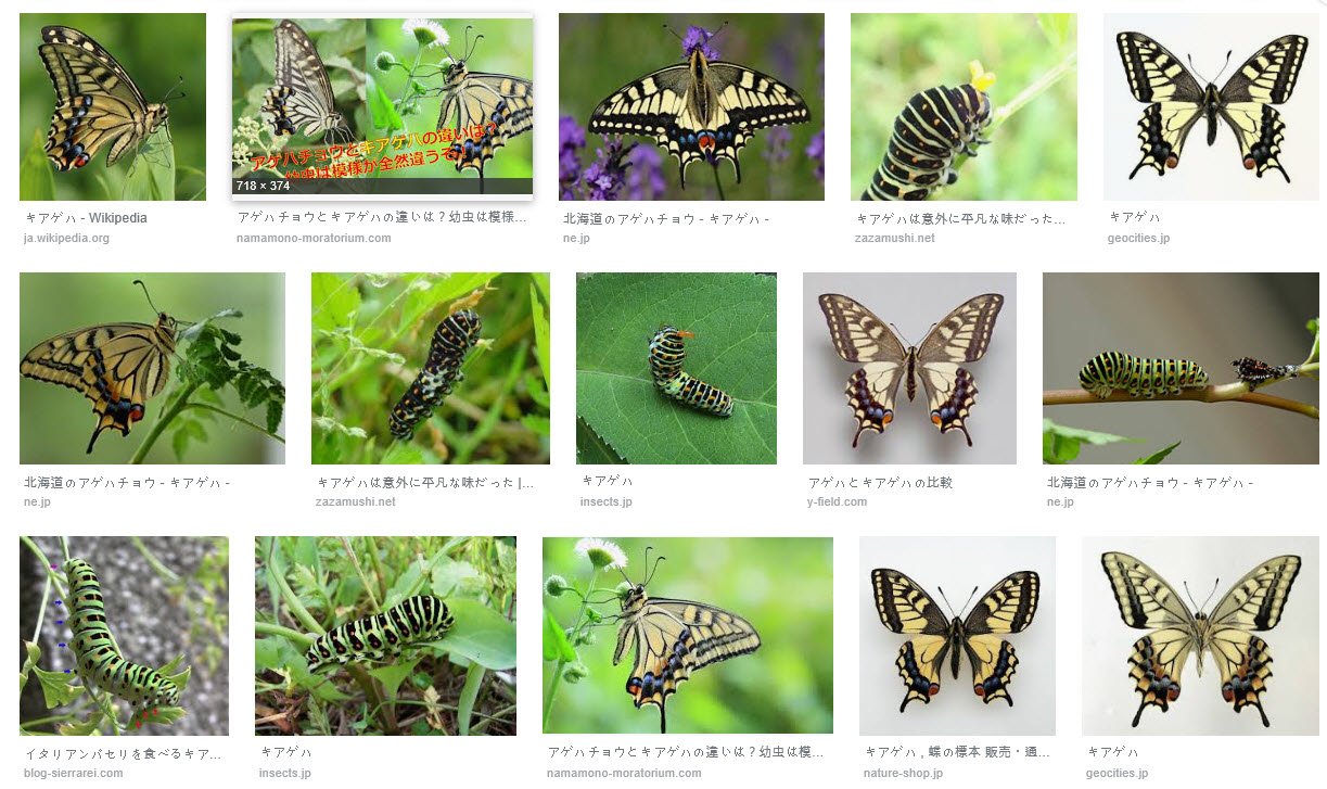 애벌레 컬렉션 2 (Caterpillar / Larva Figures) — Steemit, image size:1223x727