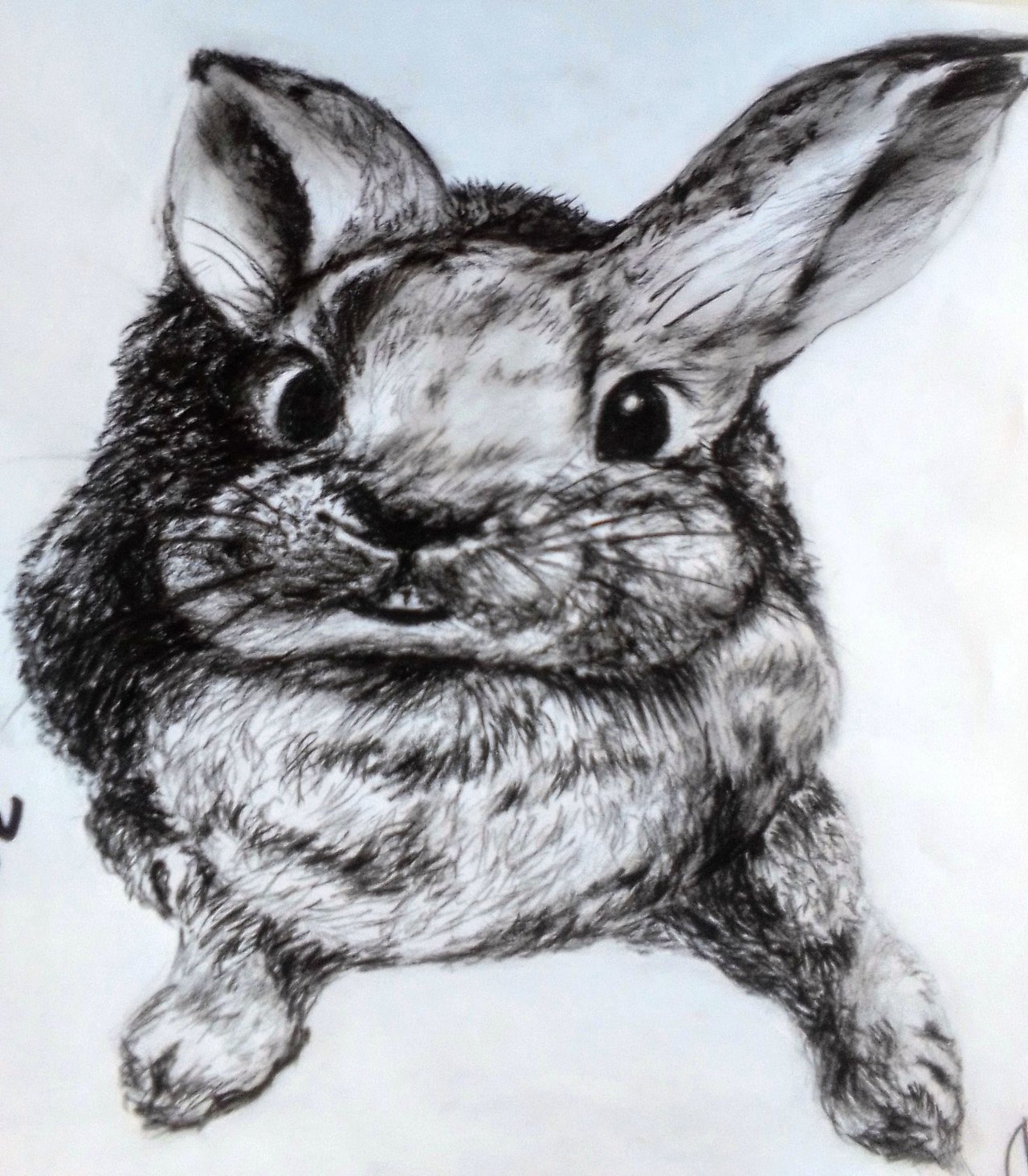 Bajo el mar… aprendiendo a dibujar | Con tus manitas, image size:1280x1464