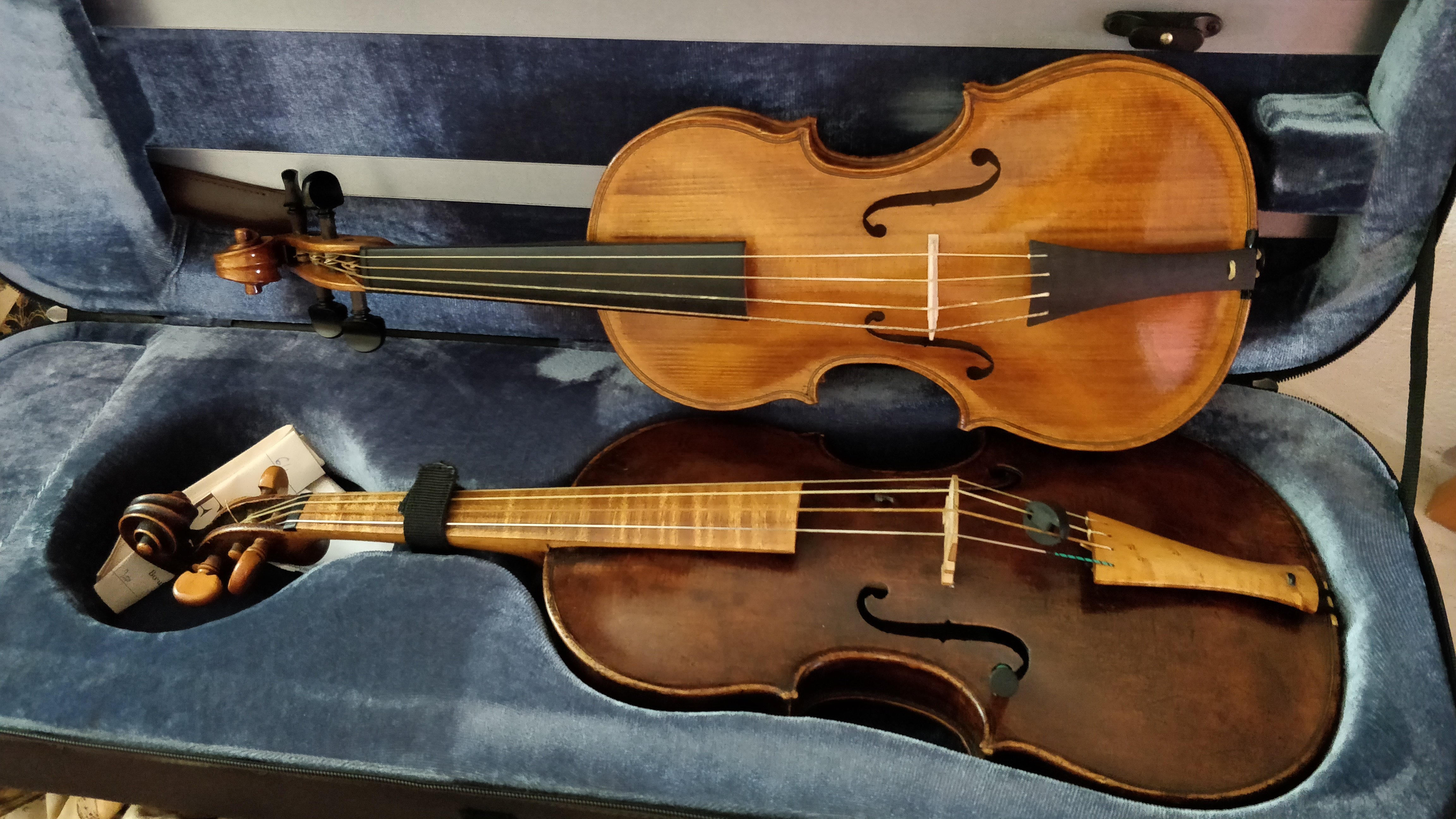 The Piccolo Violin: A forgotten instrument — Steemit