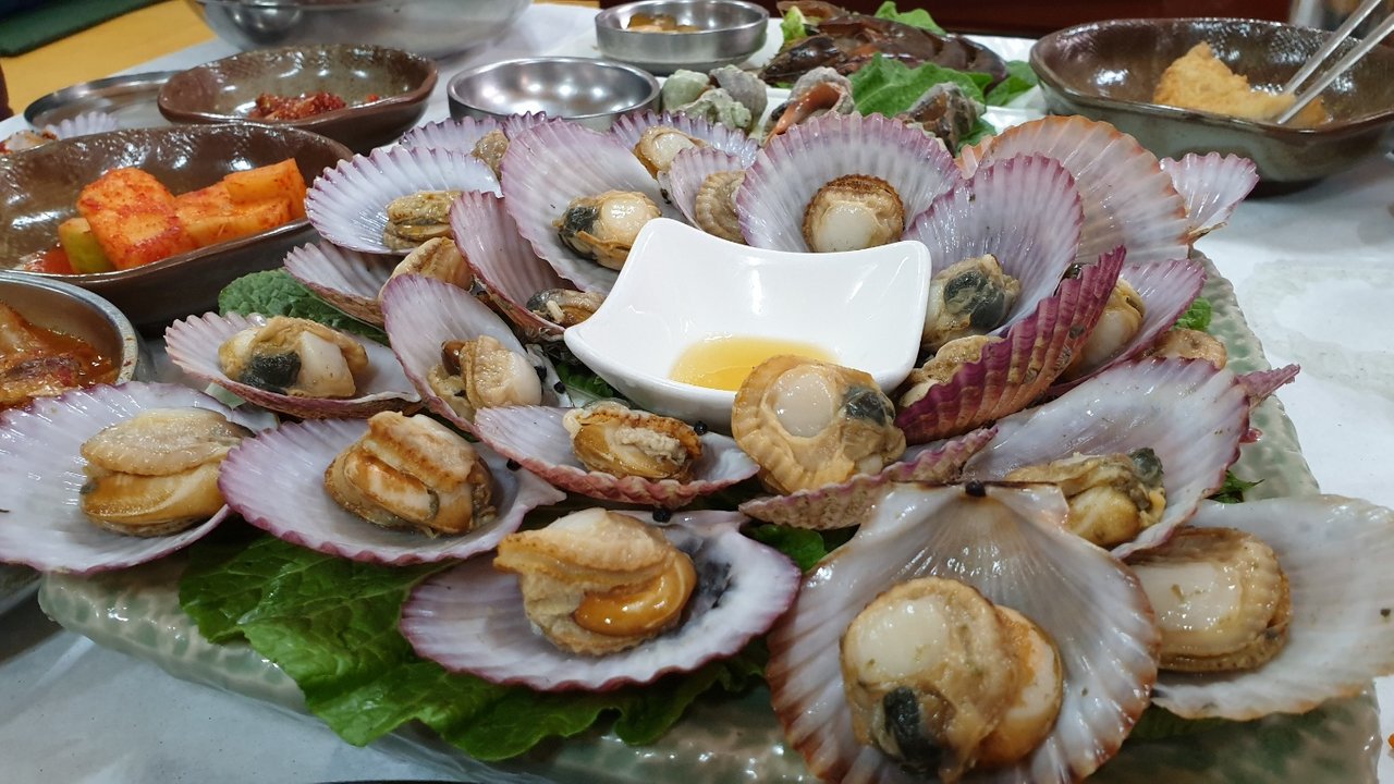 ADA 삼성갤럭시 호재?(feat.에이다 코인 100배의 추억..) — Steemit