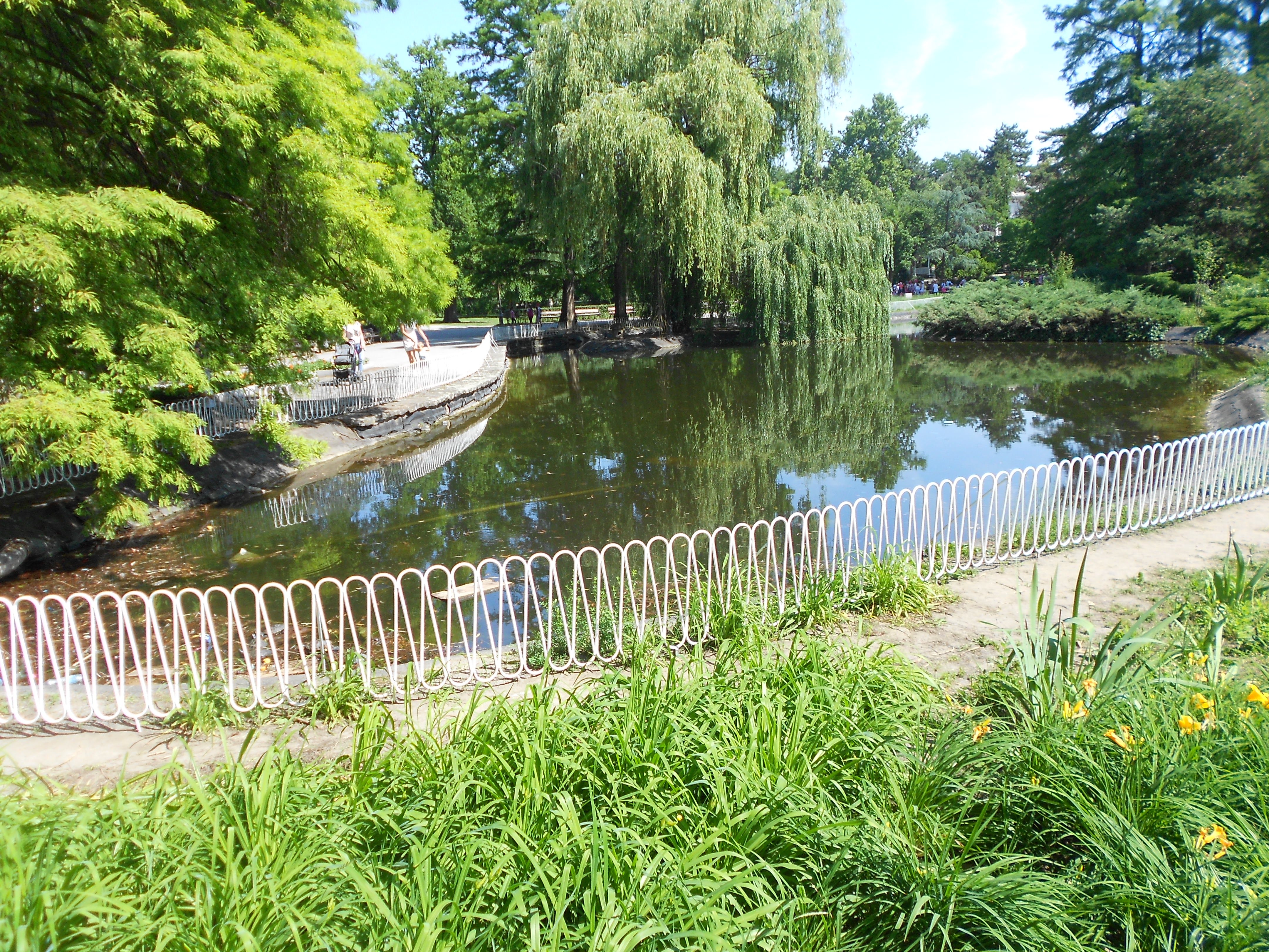 Danube park — Steemit, image size:4320x3240