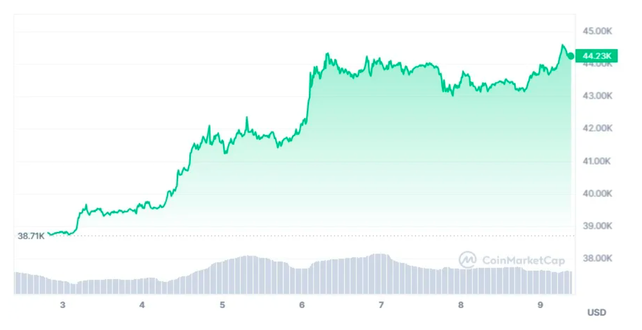 투자의 단상/231212] BTC 날짜 변경선 투자? — Steemit