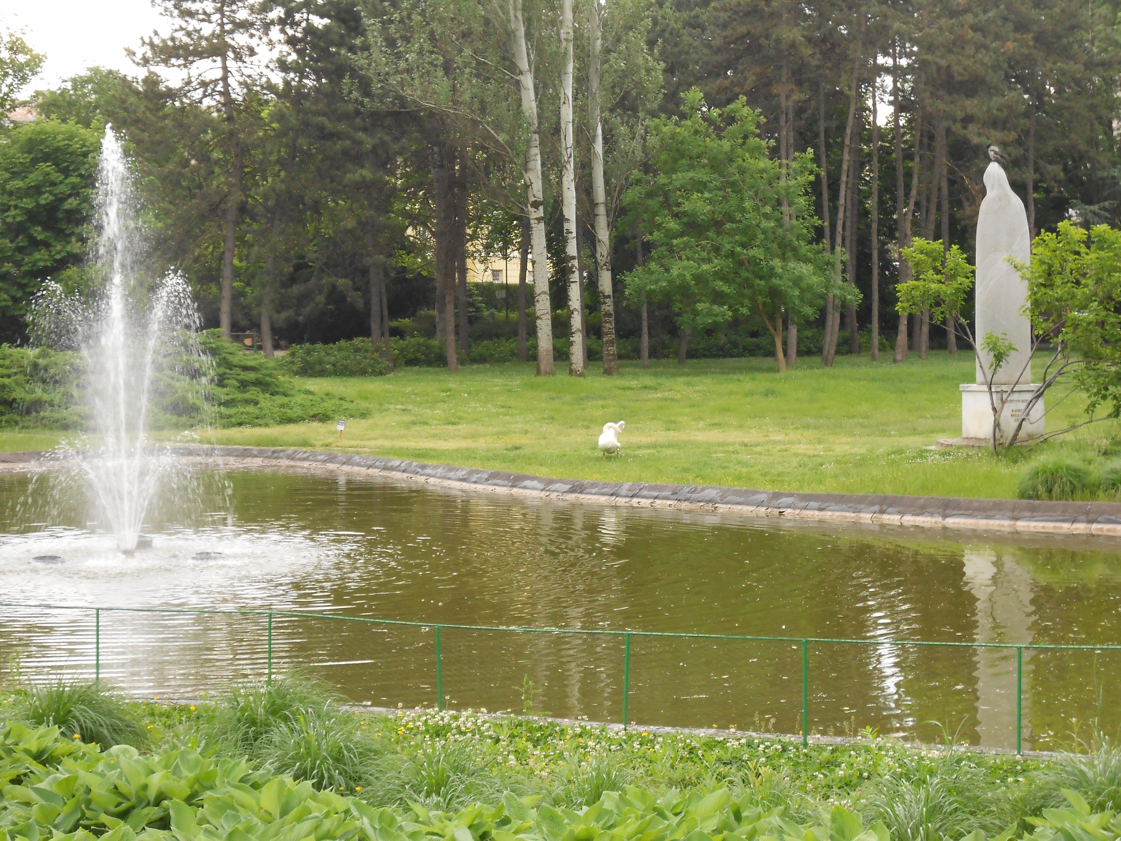 Danube park — Steemit, image size:4320x3240