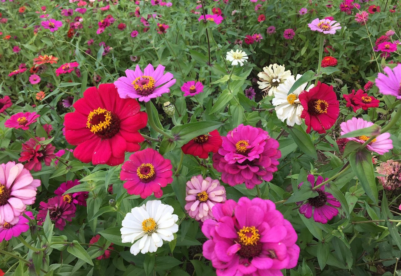 모멘텀 지표를 이용한 3단계 투자 전략 : Moving Momentum Strategy — Steemit