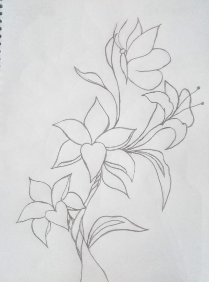 Draw a beautiful flower with pencil. — Steemit, image size:822x1112