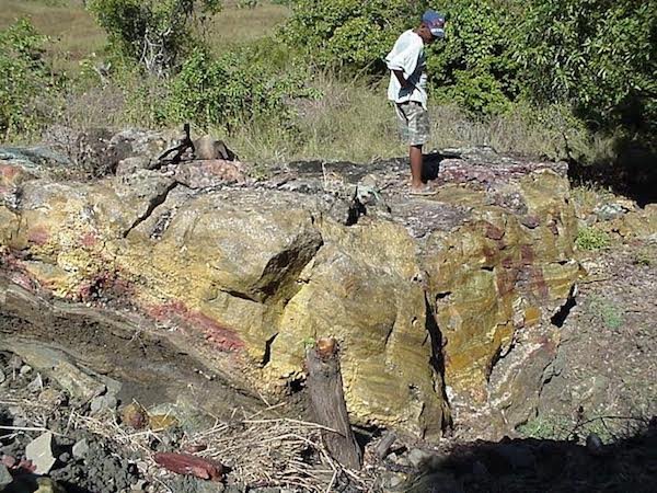 ユニークな模様の石、希少なオーシャンジャスパー — Steemit