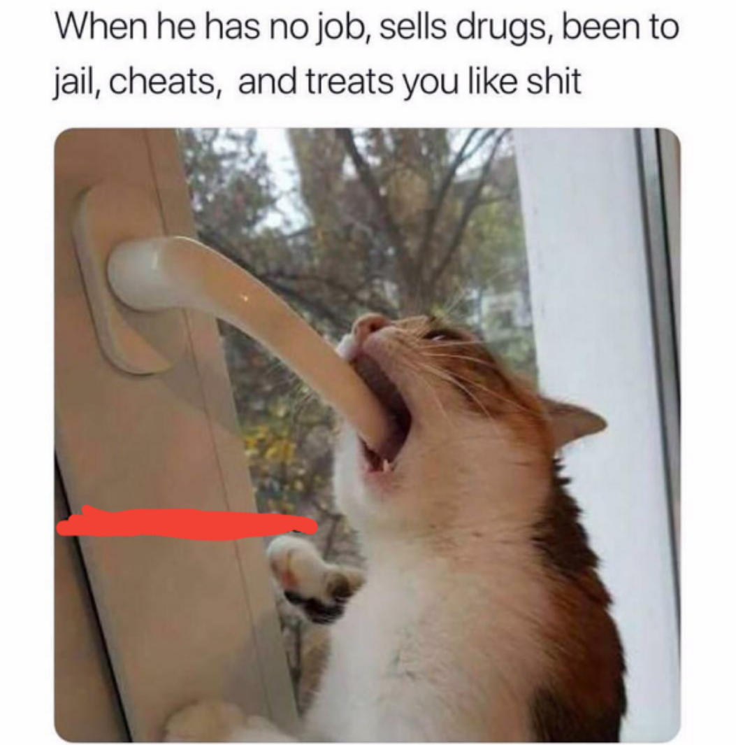 Breaking news: Neckbeard creates passive aggressive meme to cope with  female's lack of interest — Steemit, image size:1053x1065