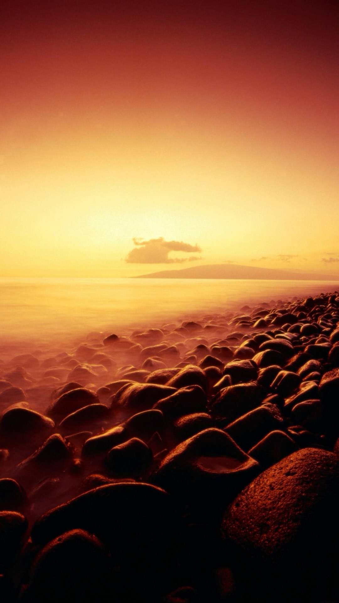 社会达尔文主义\, image size:1080x1920