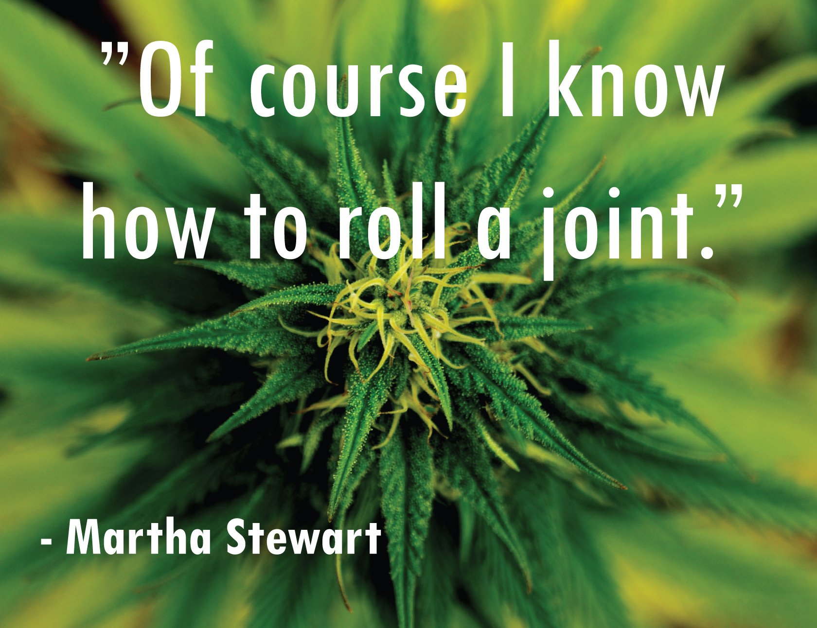 Quotes About Marijuana #4 - Anti-Propaganda. — Steemit, image size:1680x1292