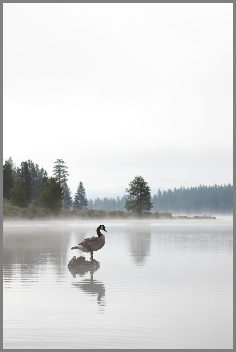 Prosser Creek Reservoir
