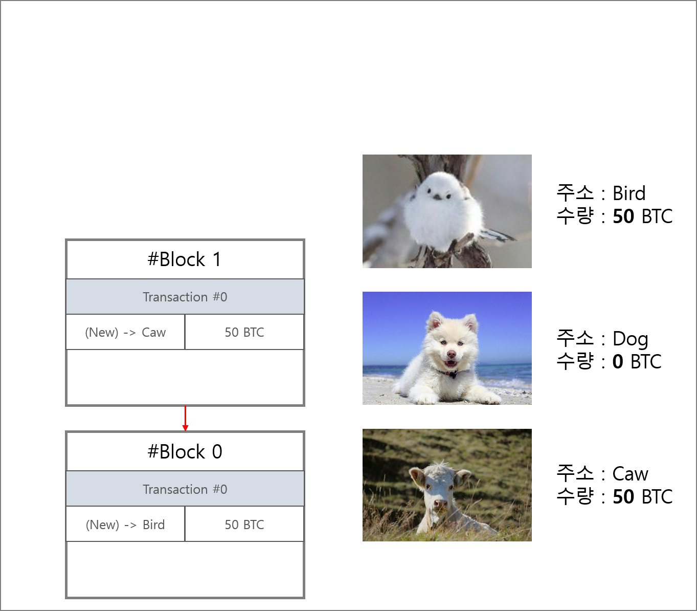 비트코인 반감기 steemit (96) 사진