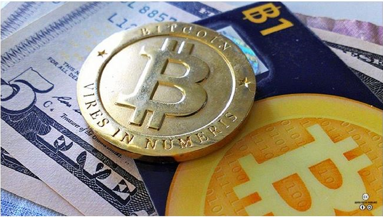 비트코인에 주목해야 하는 이유와 화폐개혁의 필요성(1) — Steemit