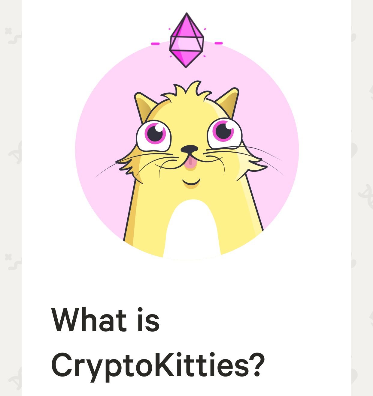 이더리움 고양이 토큰 (84) 사진