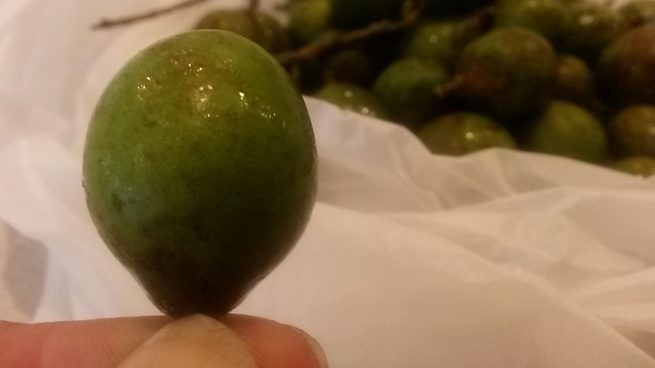 Have you ever had Quenepa? Memories of my youth in Puerto Rico — Steemit, image size:1280x720