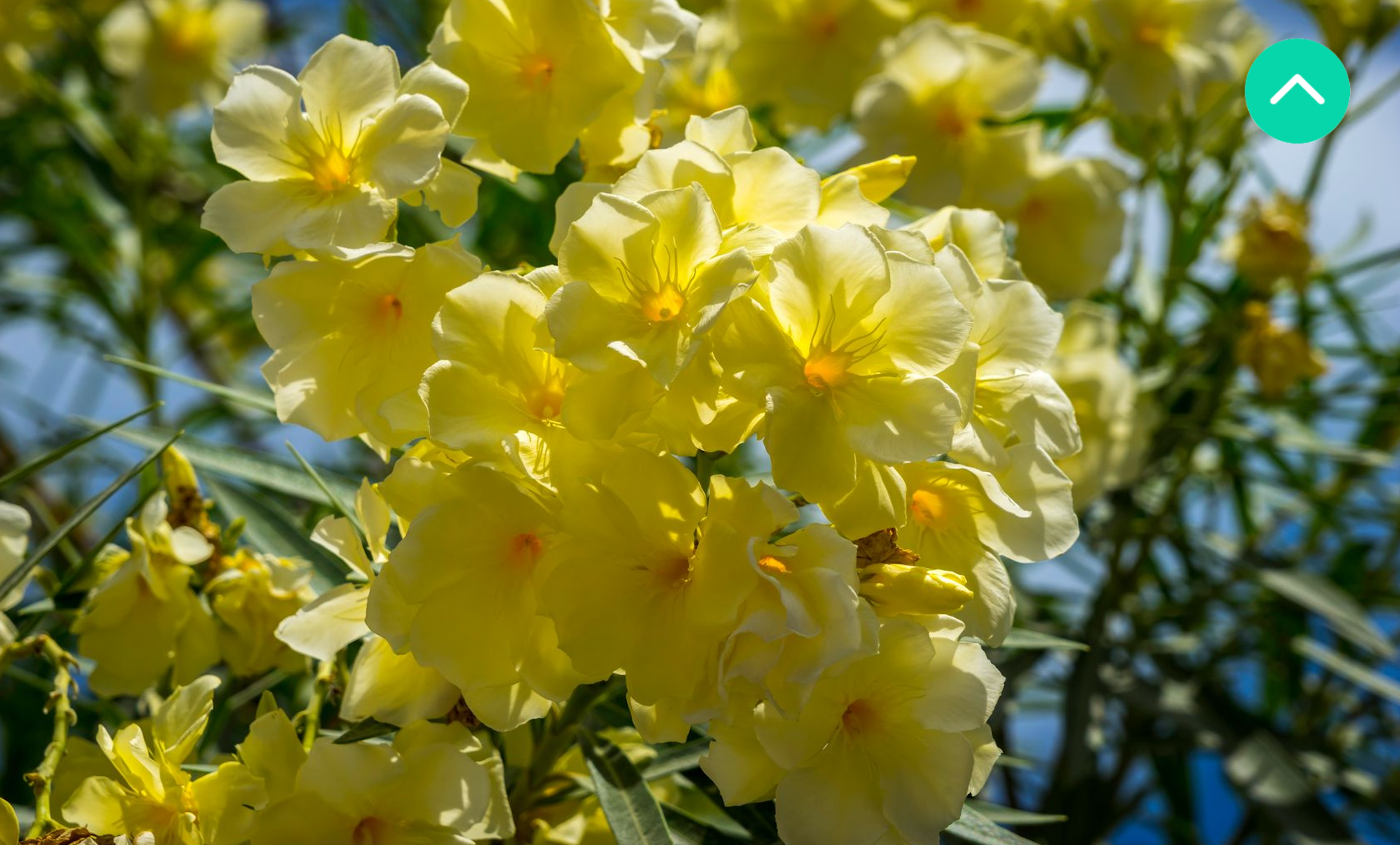 투기의 역사; 비트코인 마침내 바닥을 치다? — Steemit