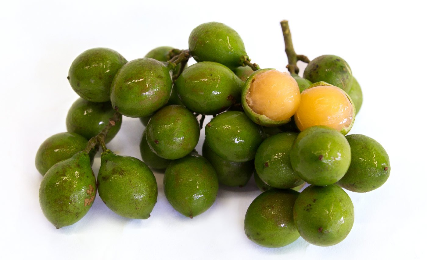 Have you ever had Quenepa? Memories of my youth in Puerto Rico — Steemit, image size:1400x853