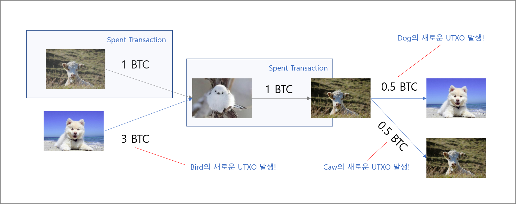 17 - UTXO에 대한 개념정리 / 비트코인 거래원리(5/5) — Steemit