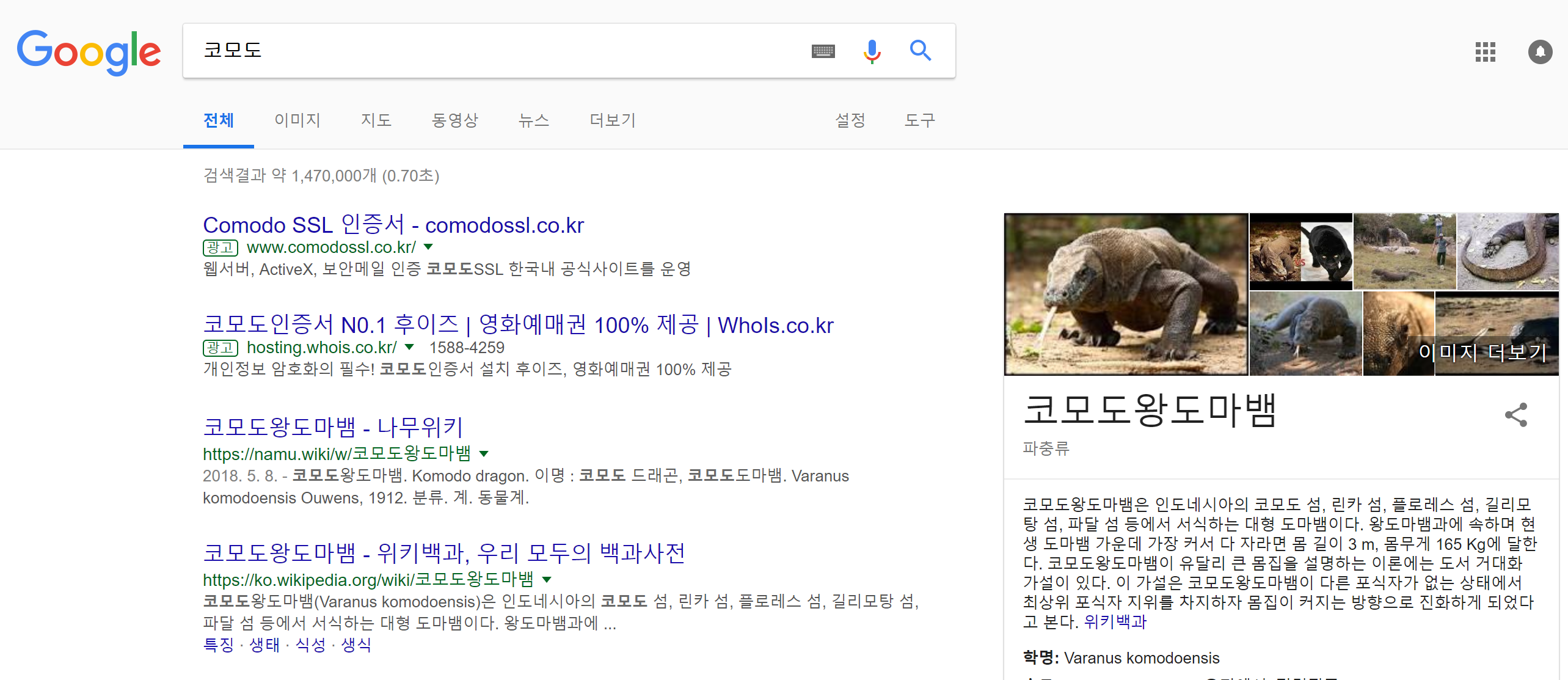 KMD] 코모도 팬아트 컨테스트 1빠따로 참여해봅니다. 작품명 : 코모도 왕 도마뱀 — Steemit