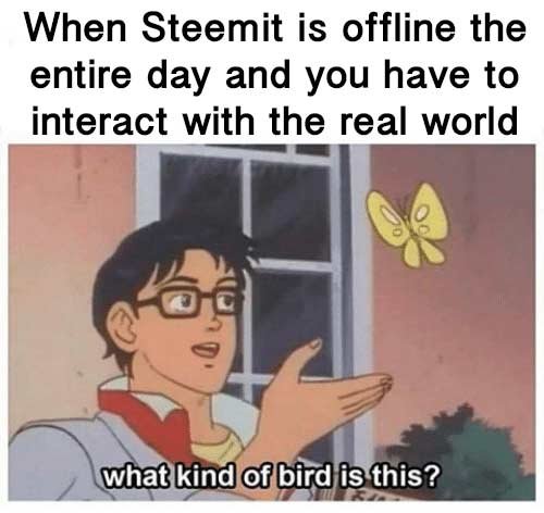 每年10月6日为SteemIt解毒日吧  Let's make 6/Oct  the SteemIt-Free Day.