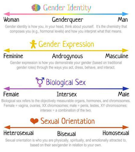 Gender Spectrum Chart