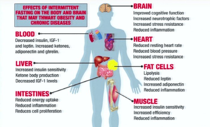 top-4-fantastic-medical-advantages-of-fasting-in-ramadan-muslim-s