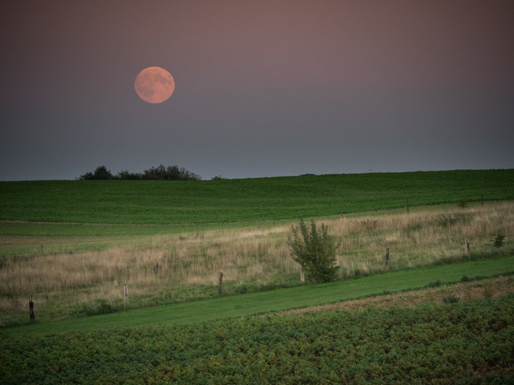 moon over Flanders