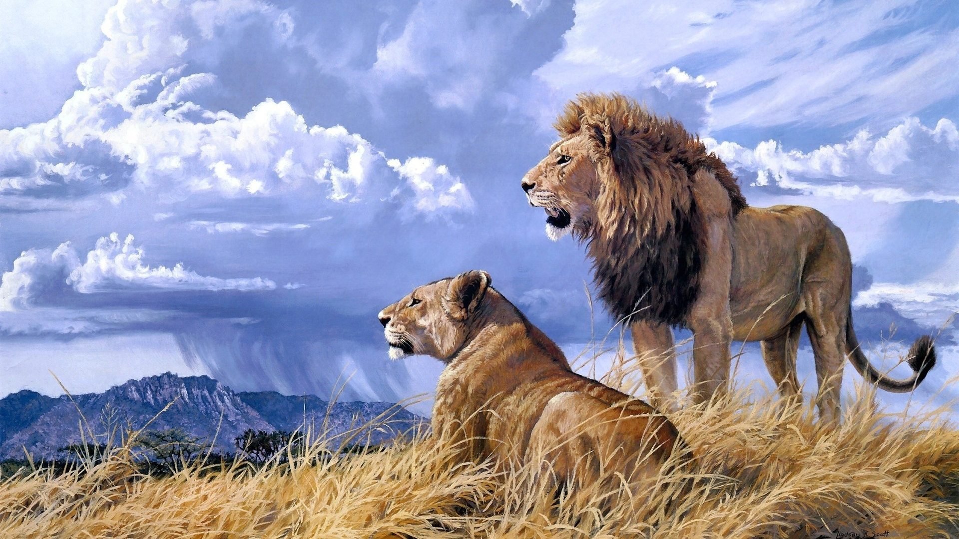 Nature and animals of Africa Nature and animals of Africa