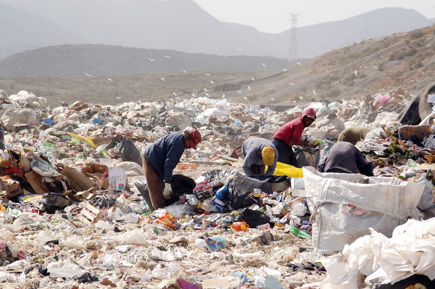 basurero%20pricipal_0.jpg