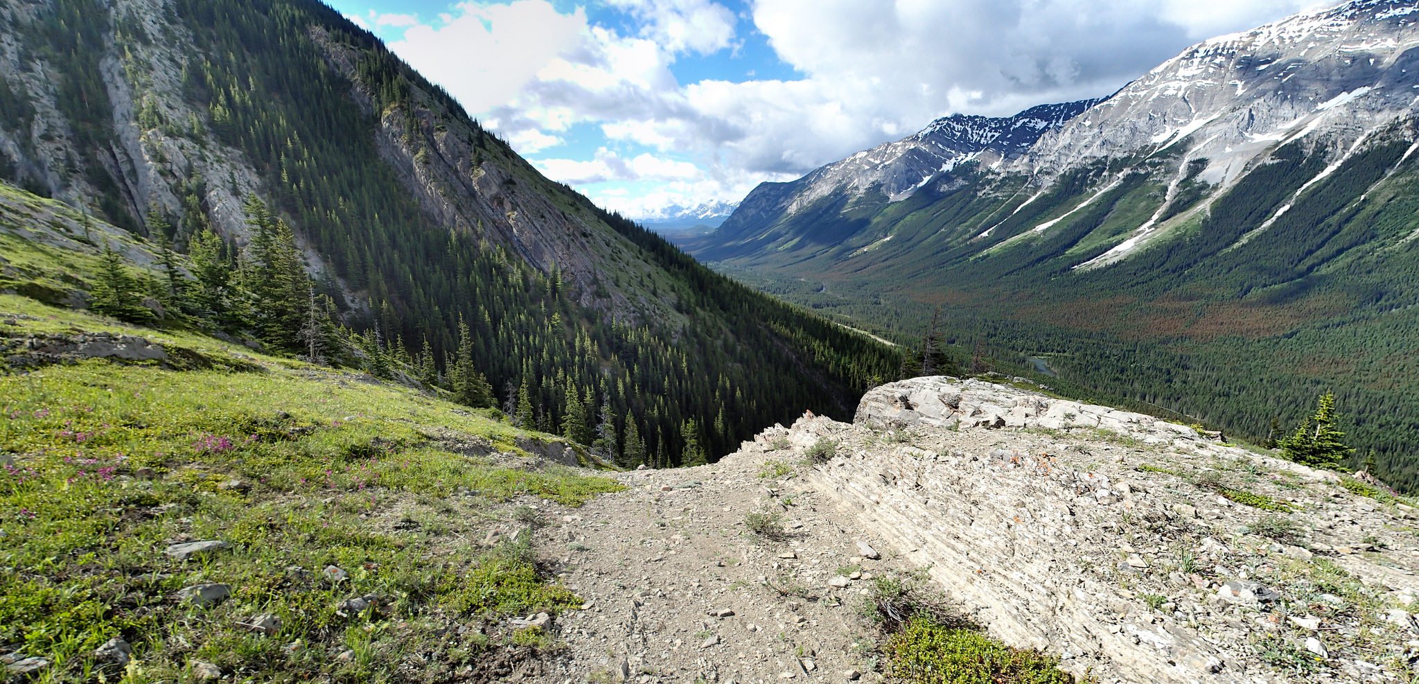 Hiking Mount Opal Kananaskis, Canada Part 1📷 — Steemit