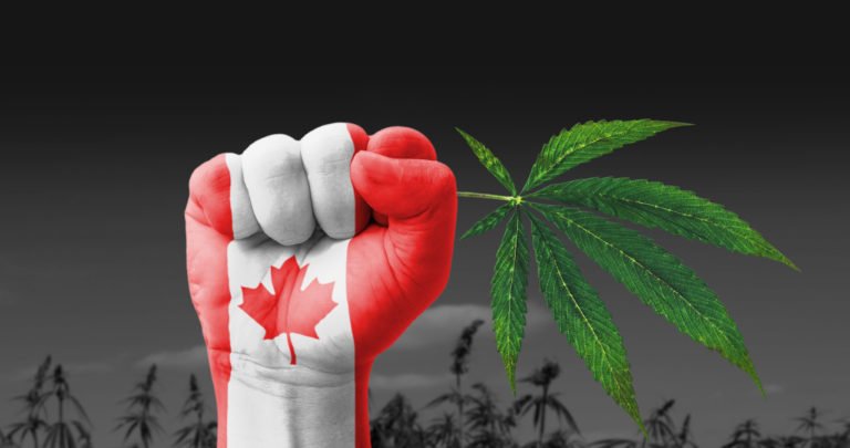 https://steemit.com/news/@pressfortruth/the-canadian-government-is-lying-about-cannabis-legalization