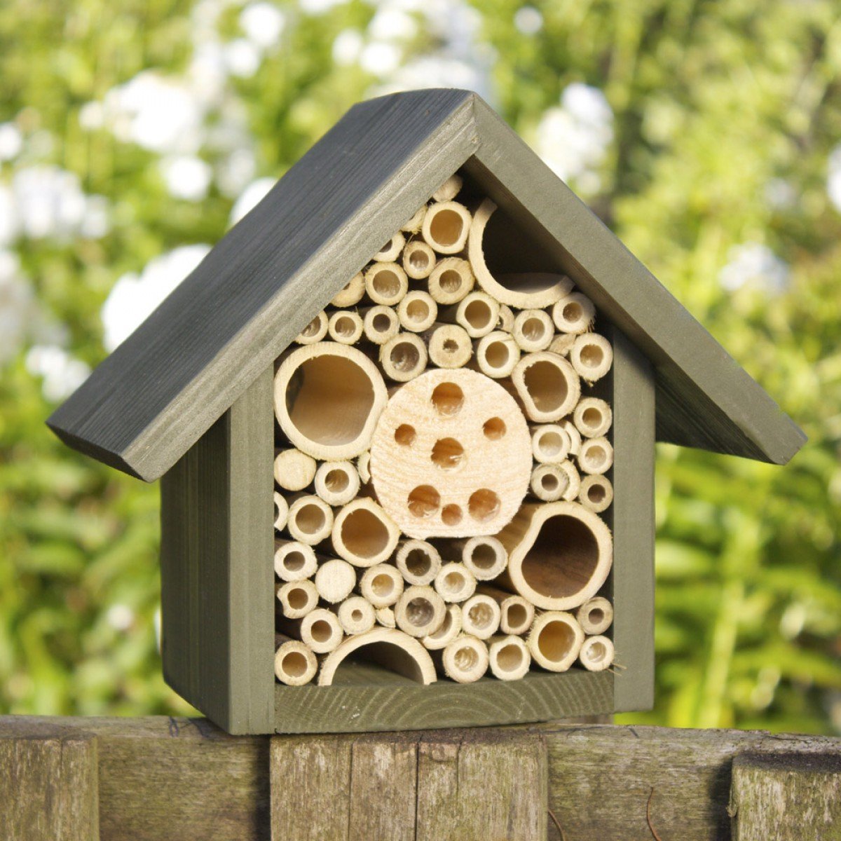 Purpose Of Bee Hotels