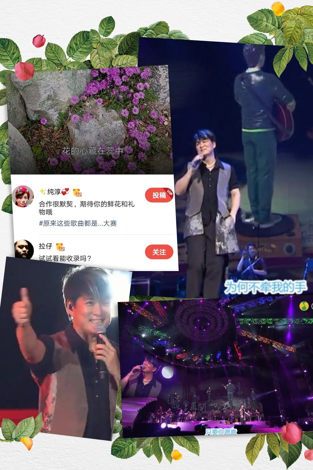 🎉 【好声音#7】🎤【花🌸心】