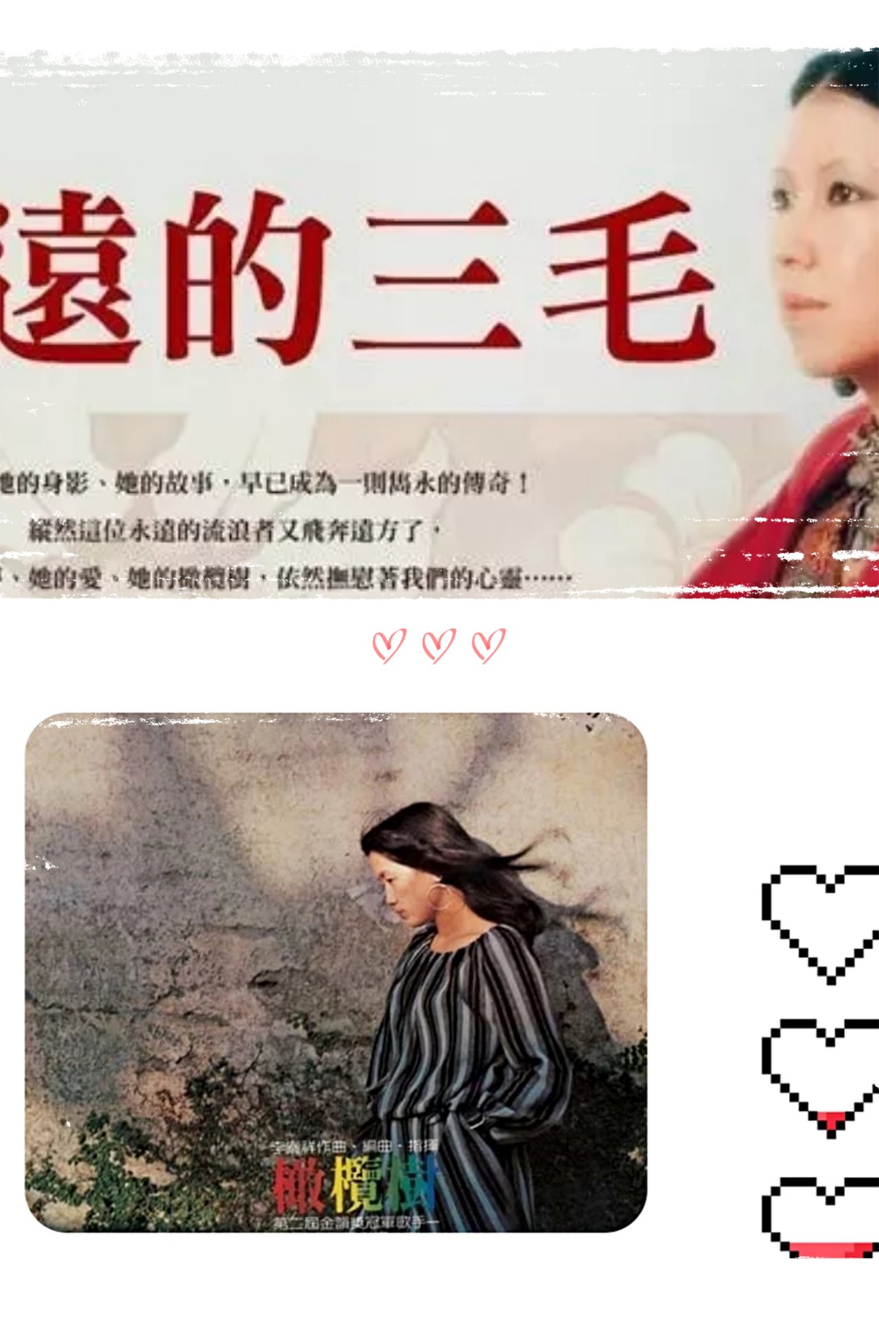 因《橄榄树》想到三毛...