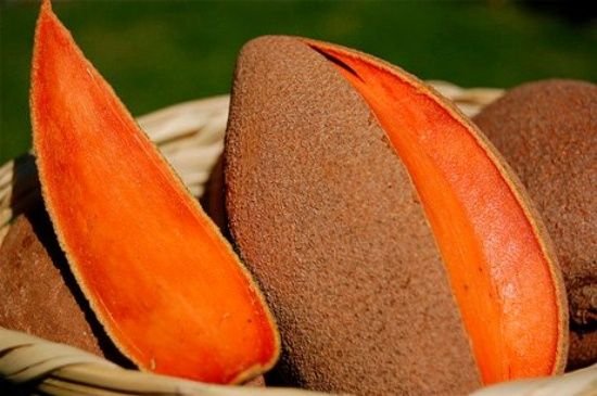 What Zapote And Tayota A Little Caribbean Fruit Excursion