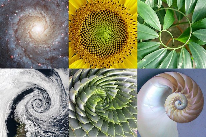 Spirals