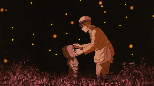 Movie Review of Grave of the Fireflies — Steemit