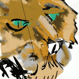 Weird-cat068b1.gif