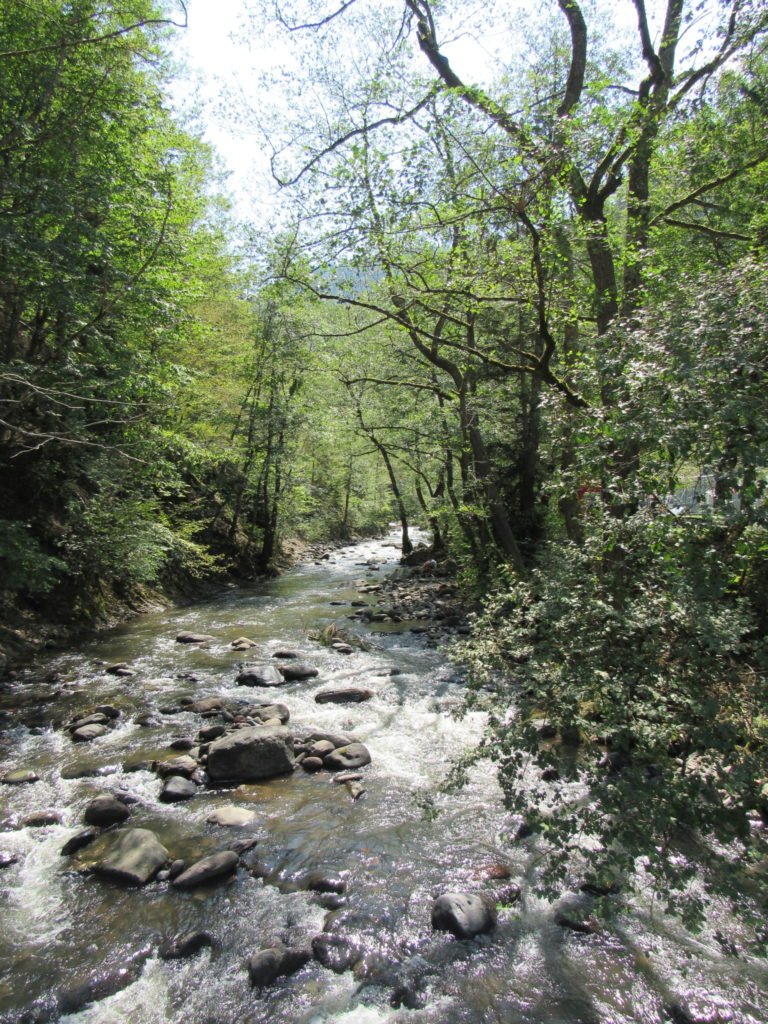 Borjomi beautiful nature