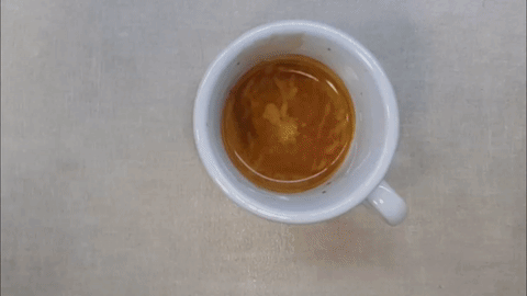 Mushroom coffee art