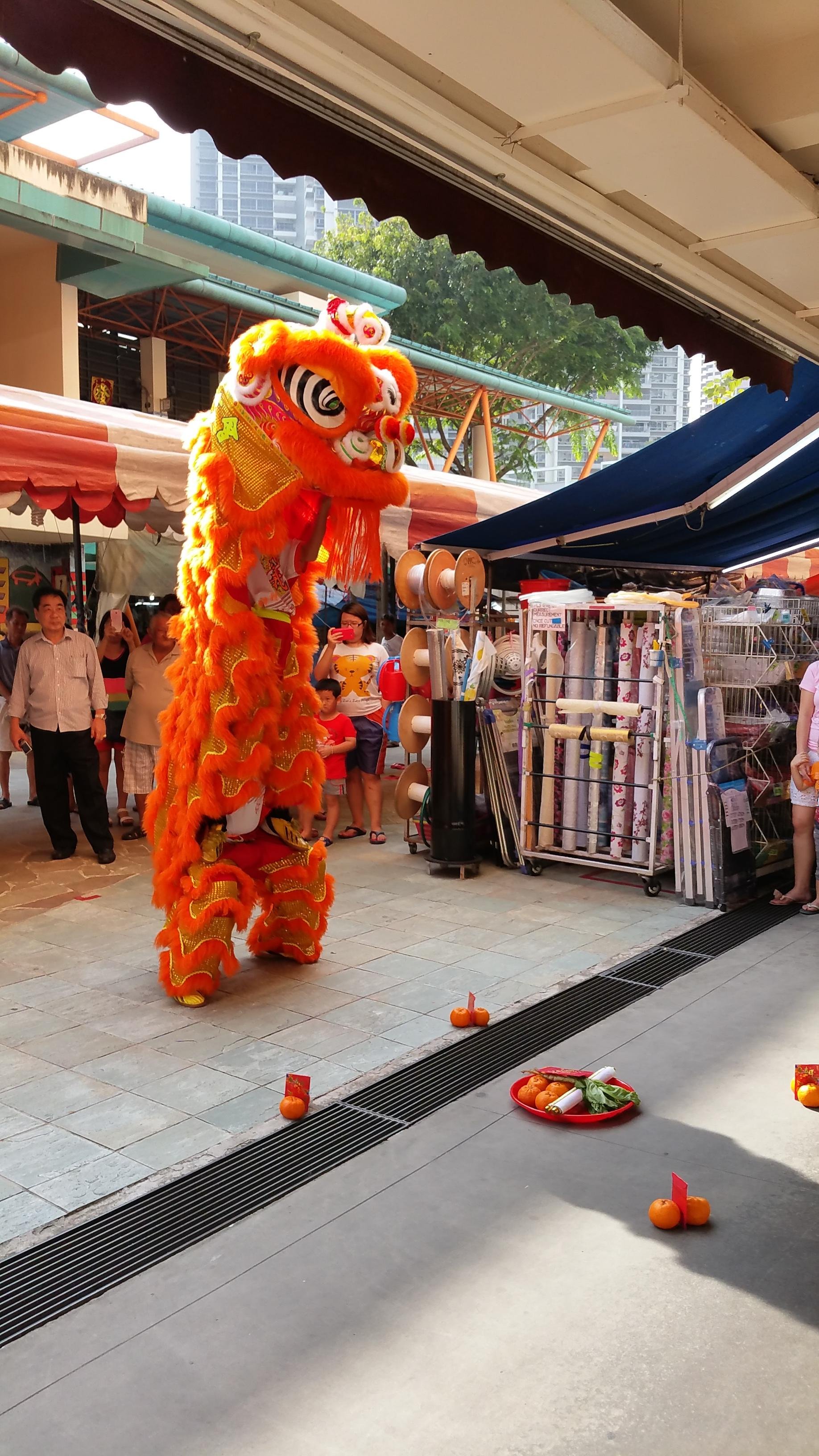 Lion Dance