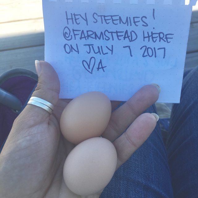 verify with eggies!