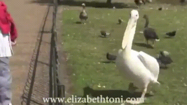 http://i.imgur.com/ewbyq.gif