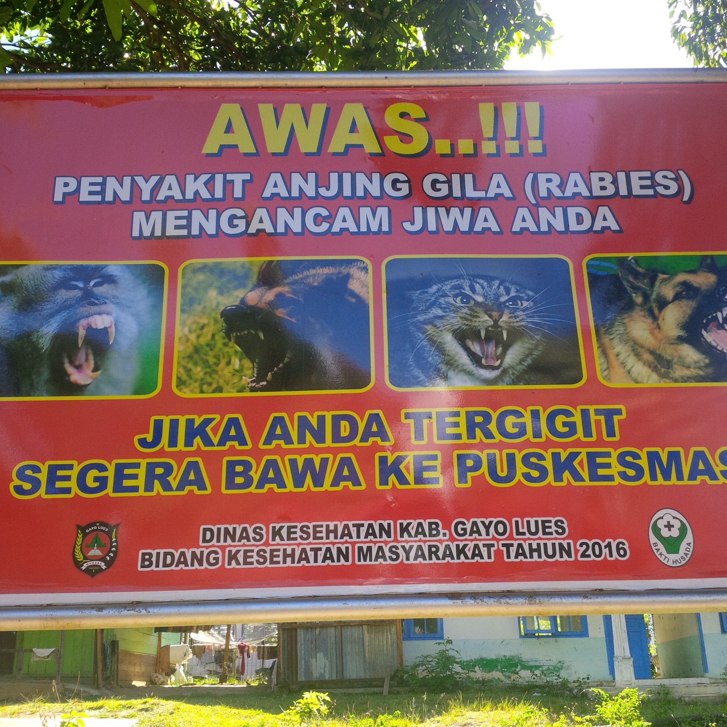 Rabies Virus Is Around You Virus Anjing Gila
