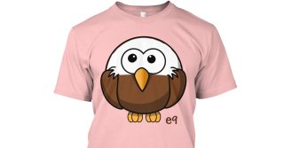 SW Florida Bald Eagle Cam