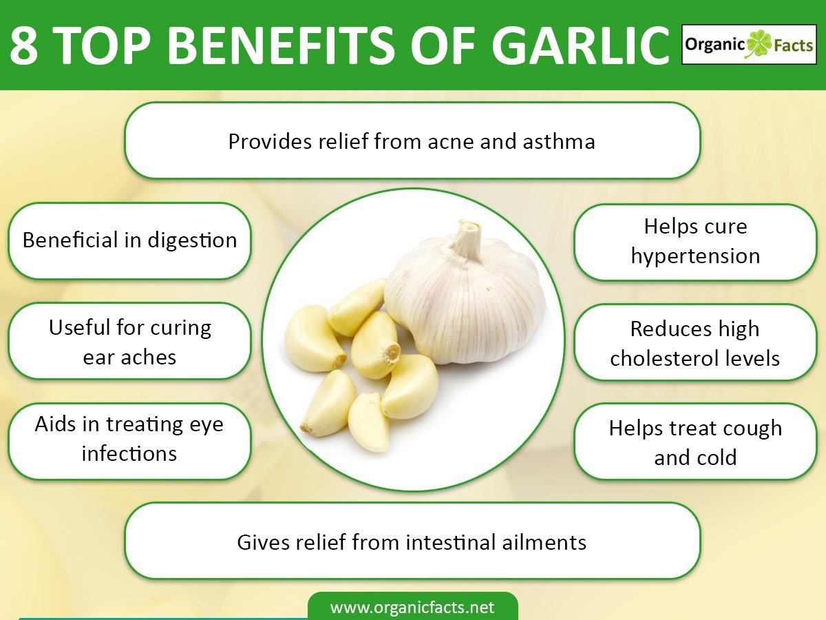 benefits of eating garlic — steemkr