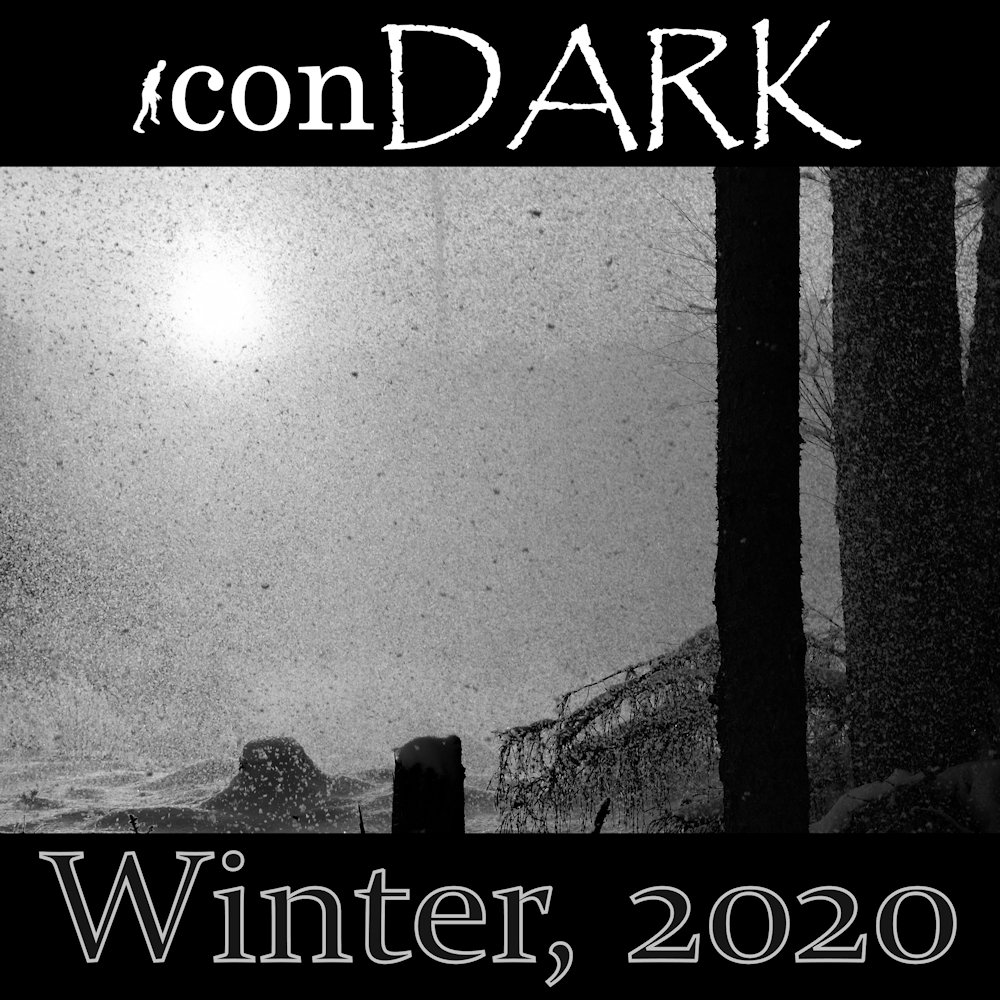 Winter, 2020 by iconDARK