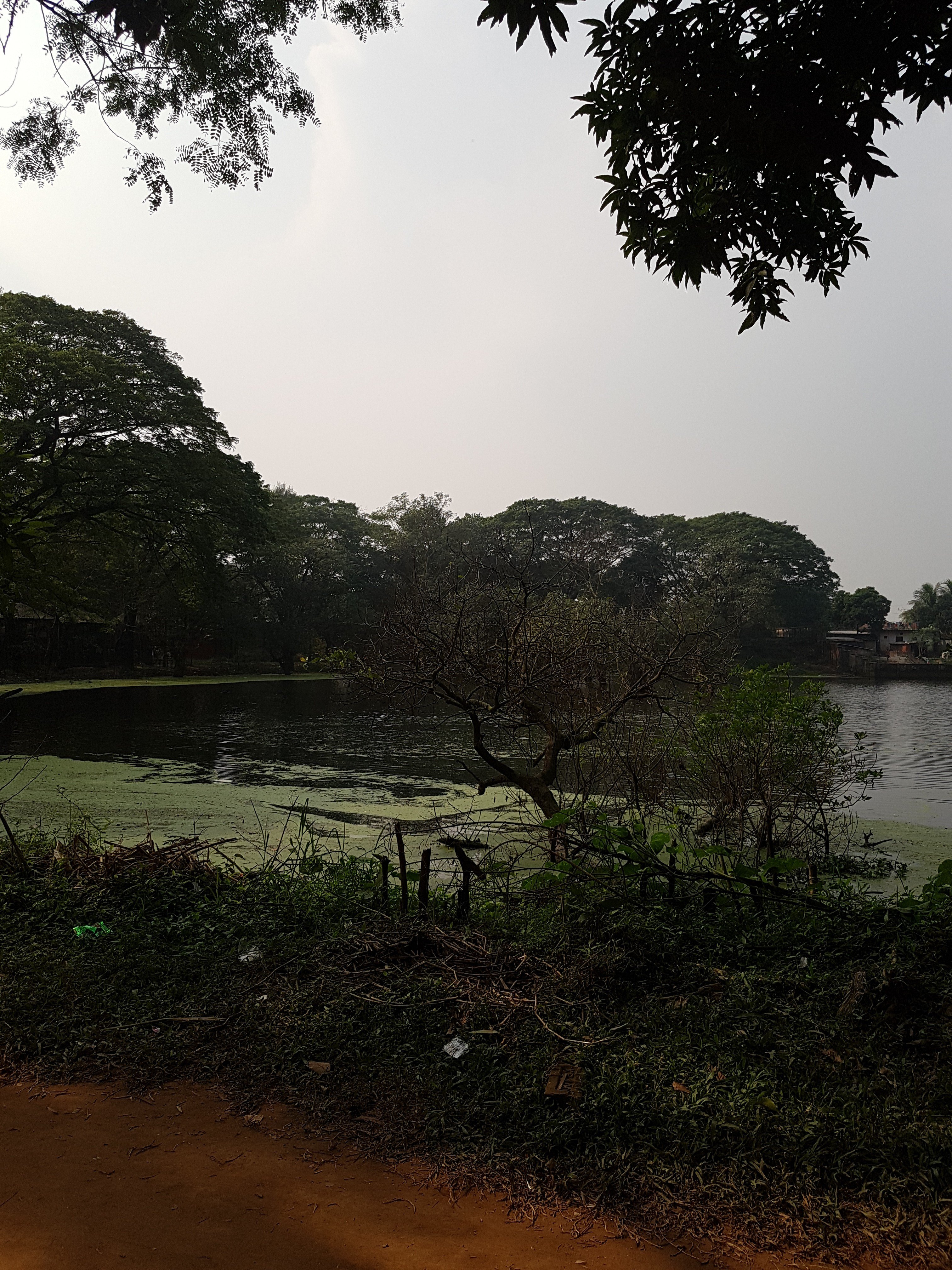 zoo_lake