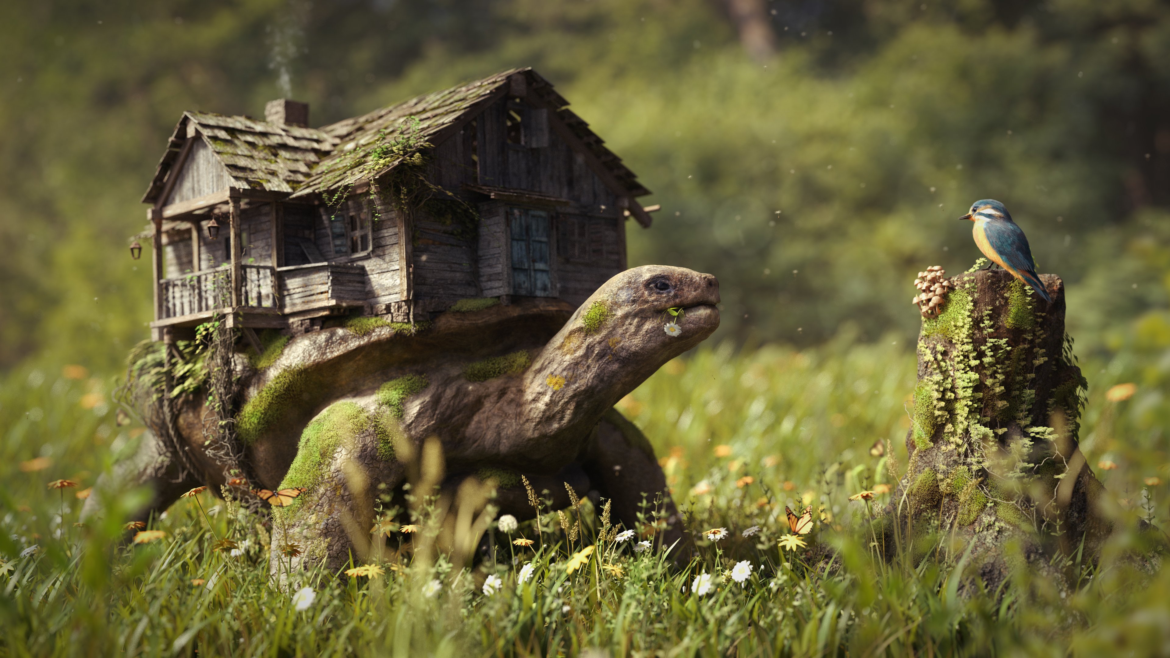 Cabin On The Back Of A Turtle Image