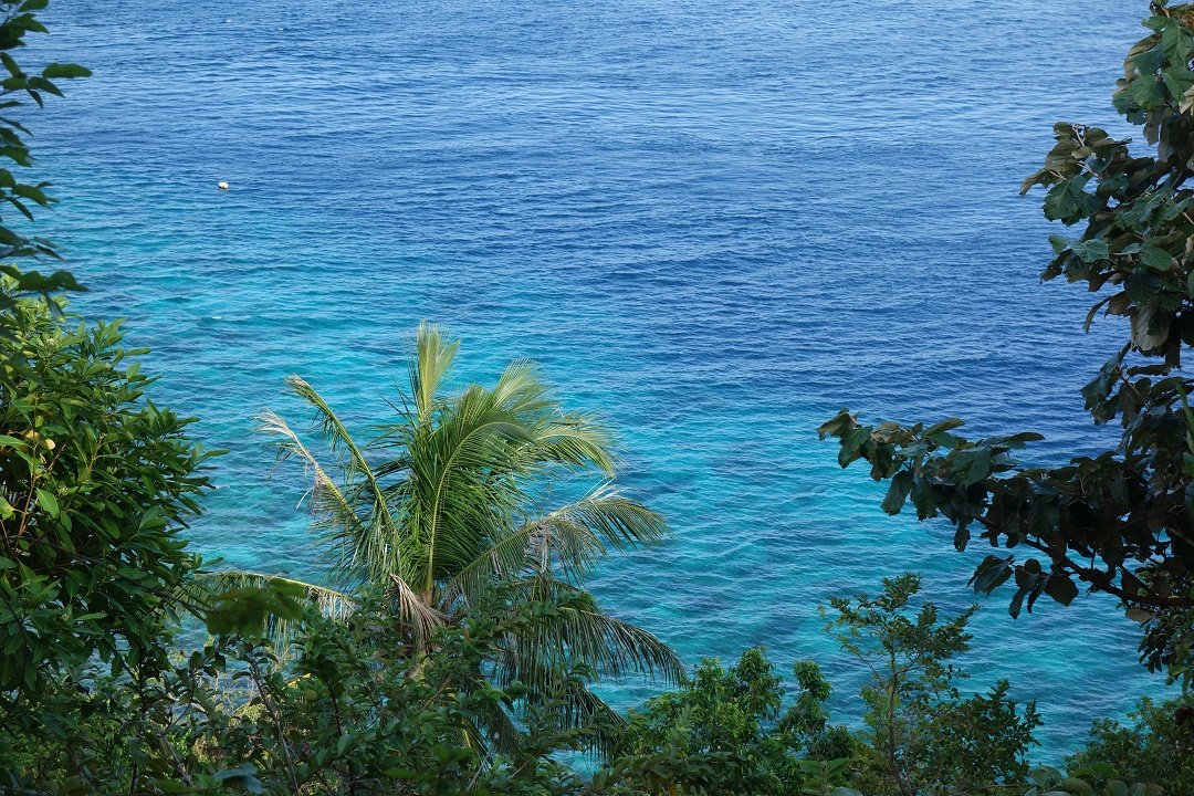 Apo Island Dumaguete, Philippines