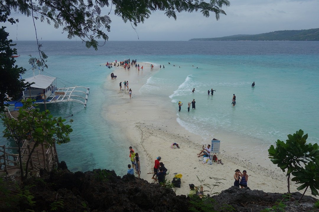 Simulon Island, things to do in Oslob Cebu, Philippines